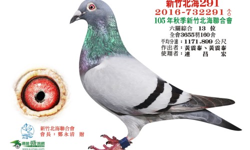 武术练童子功的功效和作用-权威童子功怎么练平台,分享专业武术内功童子身知识_武术练童子功的功效网